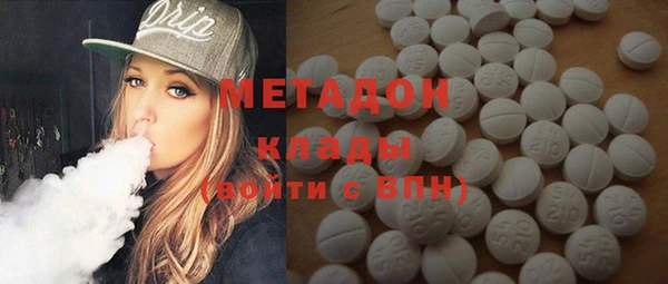 прущие грибы Переславль-Залесский