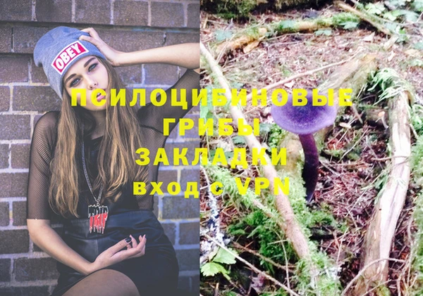 хмурый Балахна