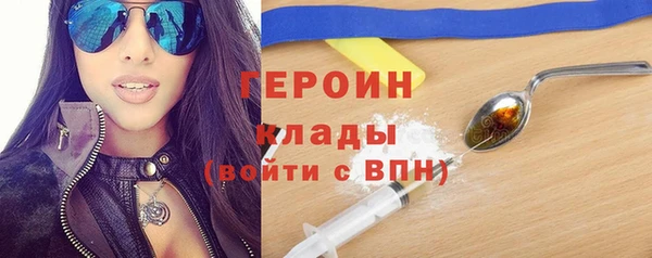 прущие грибы Переславль-Залесский