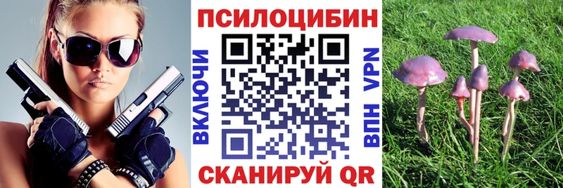 OMG ссылка  Щигры  Галлюциногенные грибы Magic Shrooms 