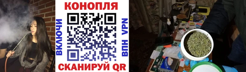 закладки  Щигры  Каннабис семена 